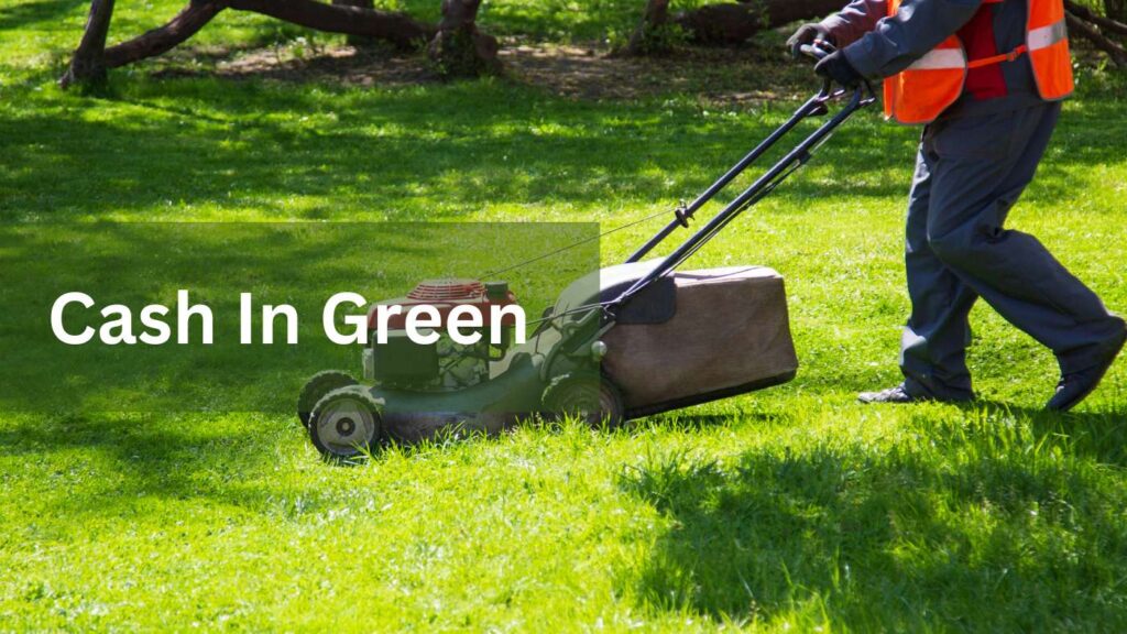 Best Mower To Start A Lawn Business of 2024