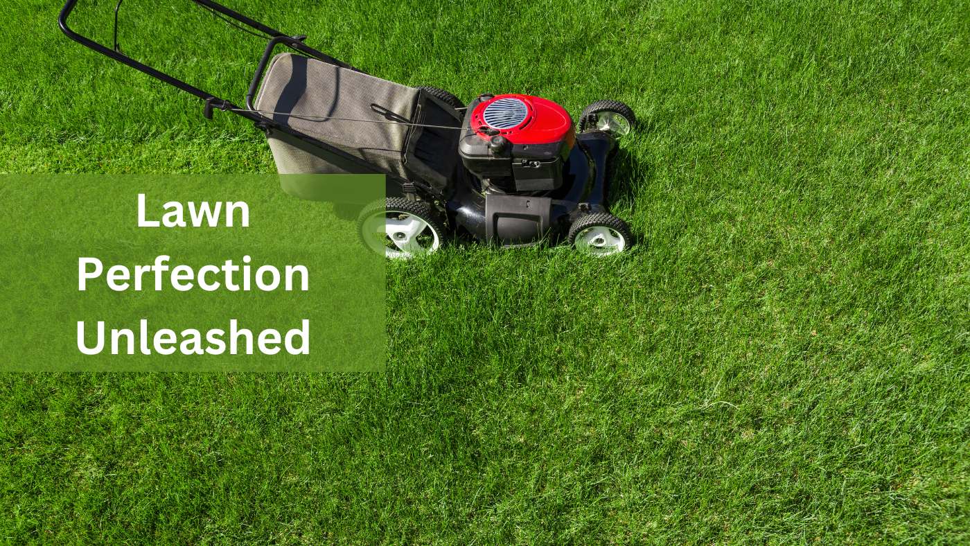 The 8 Best paint for lawn mower deck of 2024