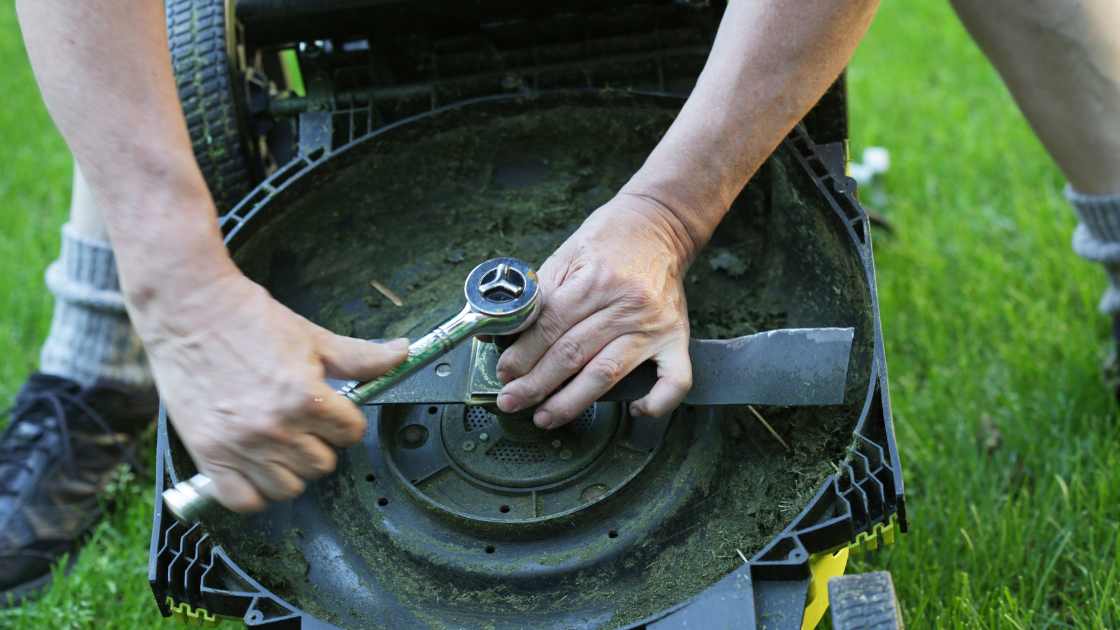The 8 Best Lawn Mower Blades For Bagging