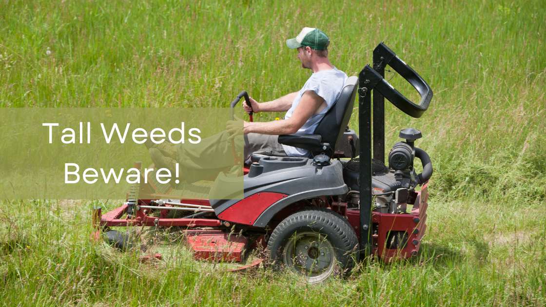 Top 7 Best Riding Mower For Tall Weeds of 2024