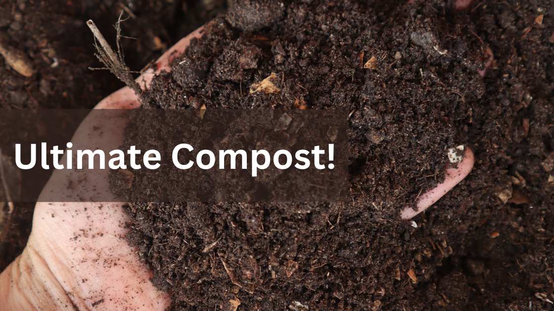 Best Compost for Overseeding Lawn of 2024