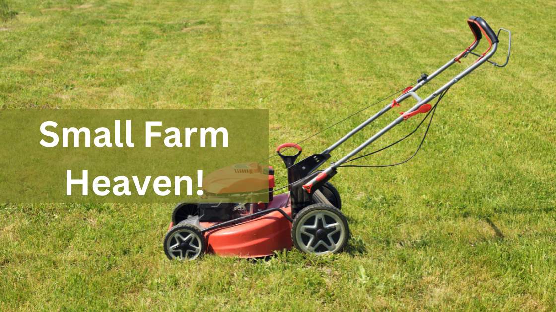 The 4 Best Mower For Small Farm of 2024