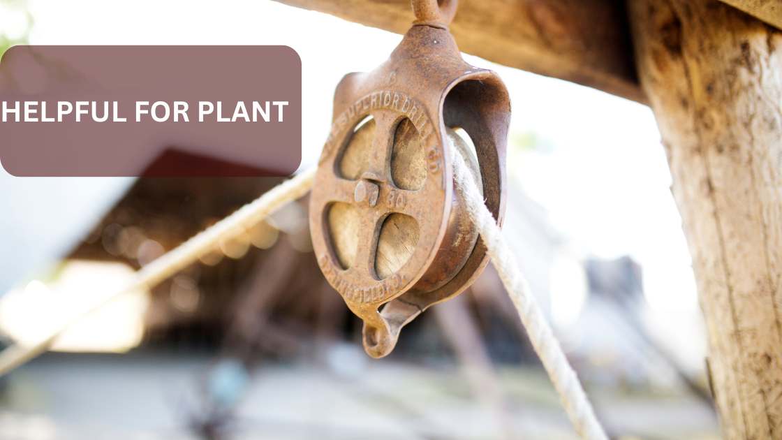 The 8 Best Retractable Plant Pulley