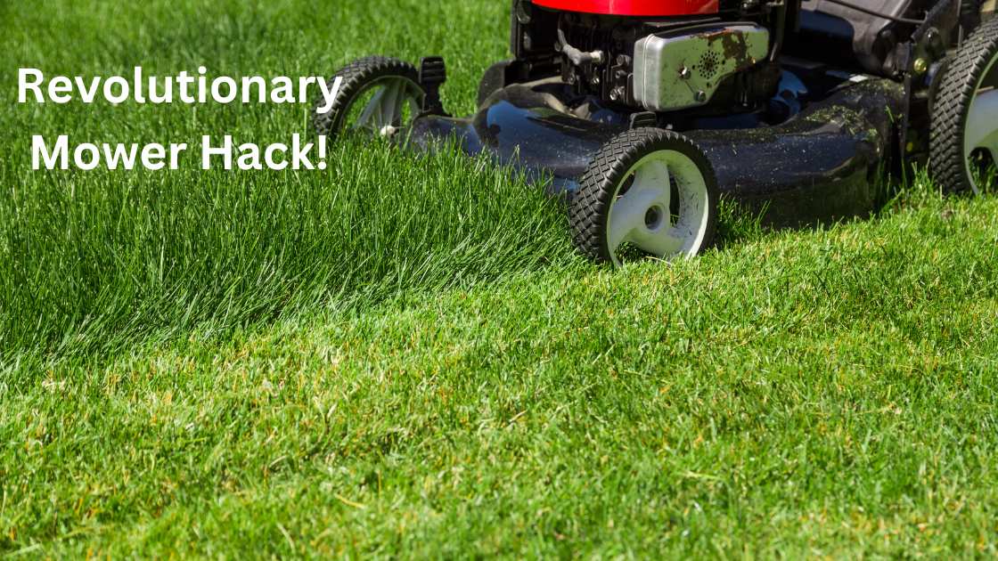 Unleash the Power: The Ultimate Self-Propelled Lawn Mowers of 2024