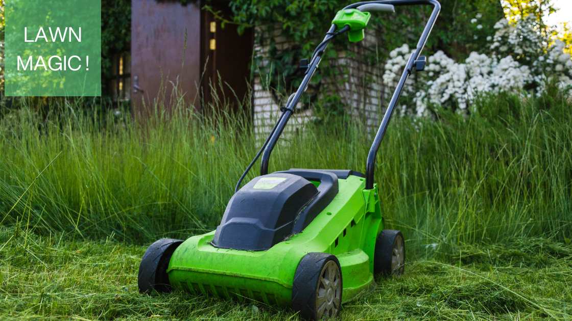 Best Push Lawn Mower: Comparing Top Models for Your Lawn Care Needs