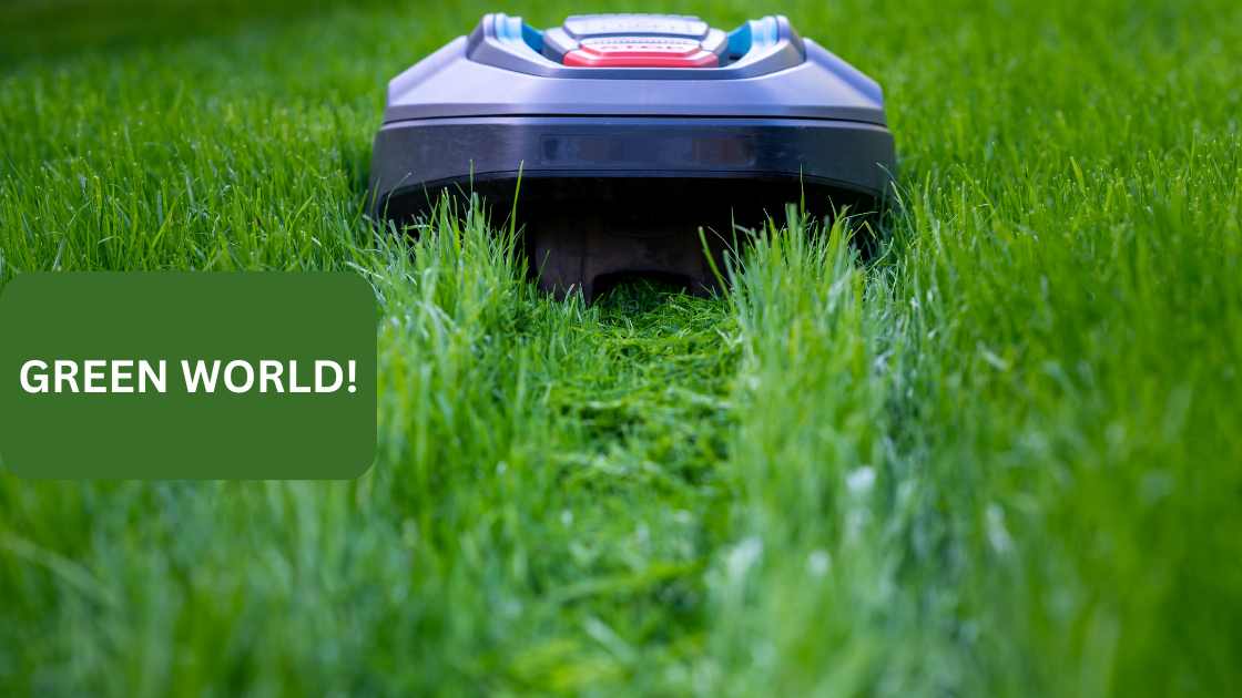 Best Robot Lawn Mower Top Picks and Reviews for 2024