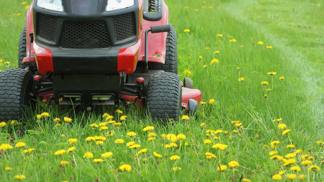 Best Riding Lawn Mower for 1 Acre in 2024