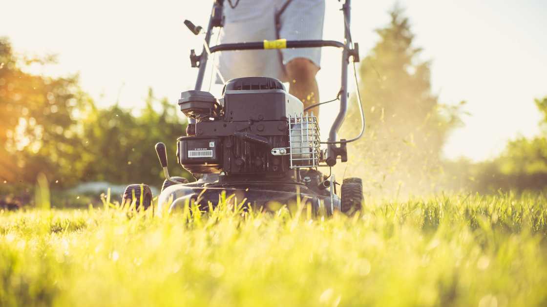 Draining Gas from a Zero Turn Mower Simple Steps to Follow