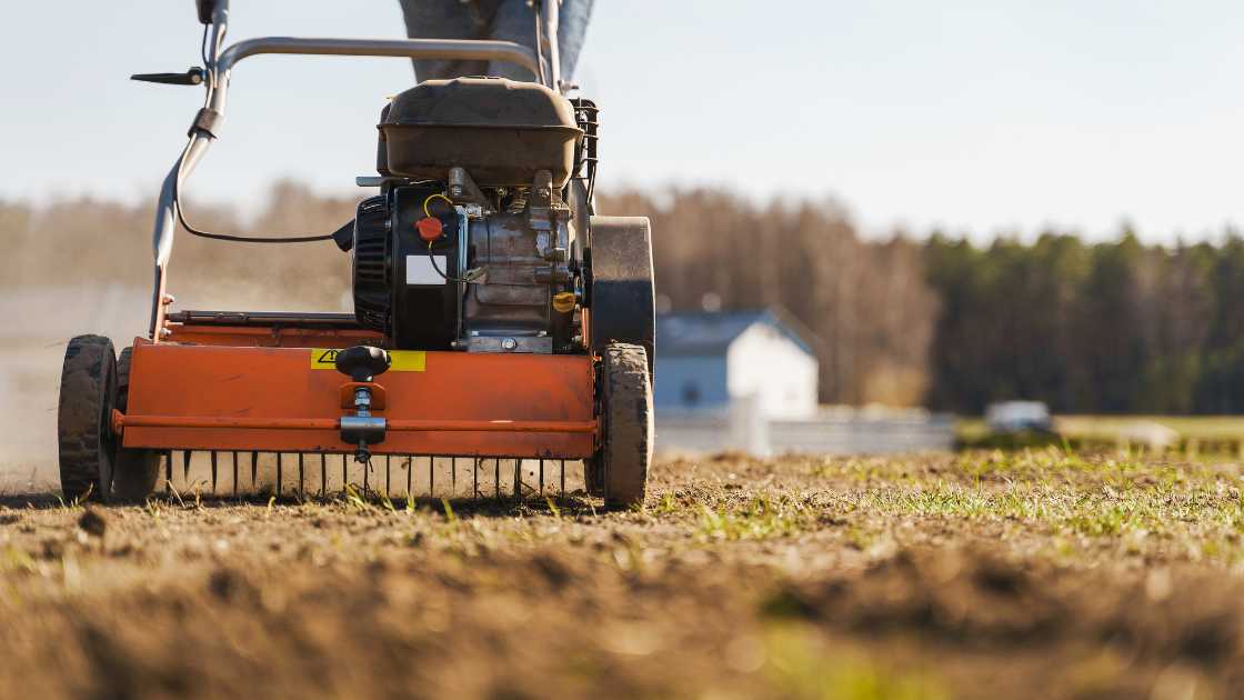 How to Aerate a Lawn by Hand of 2024