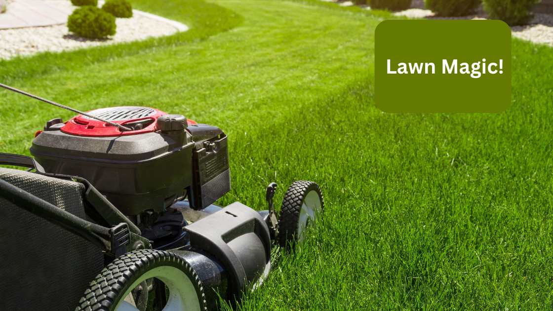 Is a Zero-Turn Mower Right for You