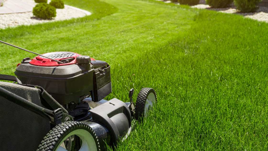 The Environmental Impact of Zero Turn Mowers: Are They Eco-Friendly?