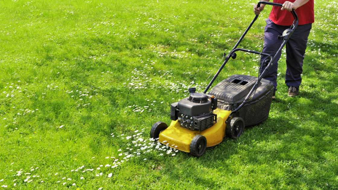 The Ultimate Guide: When is the Best Time to Mow Your Lawn?