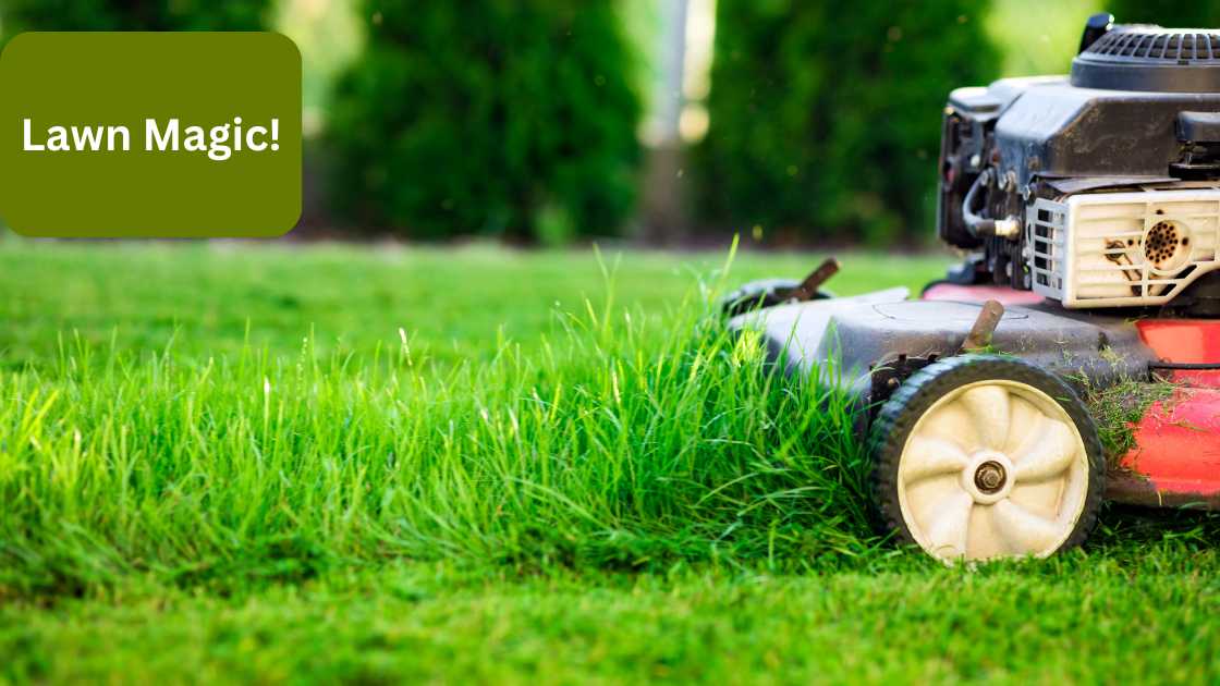 Zero Turn Mower Safety Guide: Essential Tips for Safe Operation