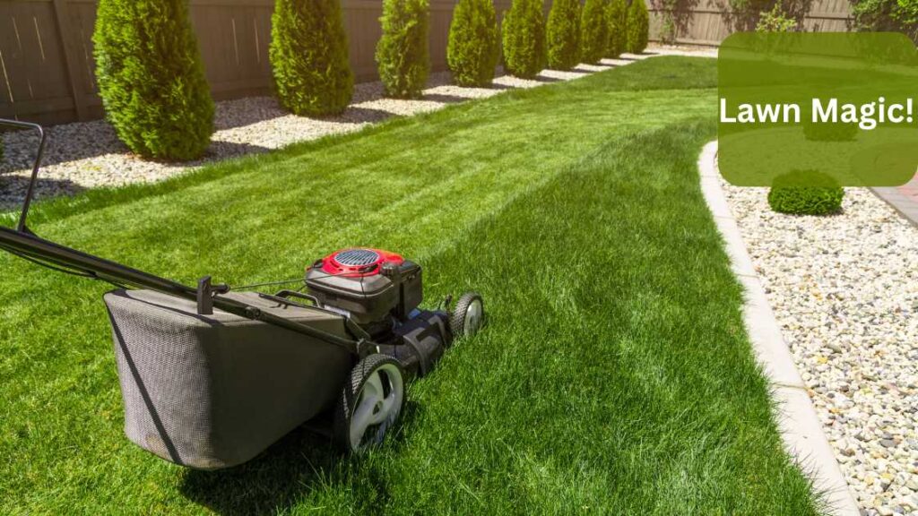 Zero Turn Mower With Steering Wheel Vs Traditional Which Is Better - pjrzgwi