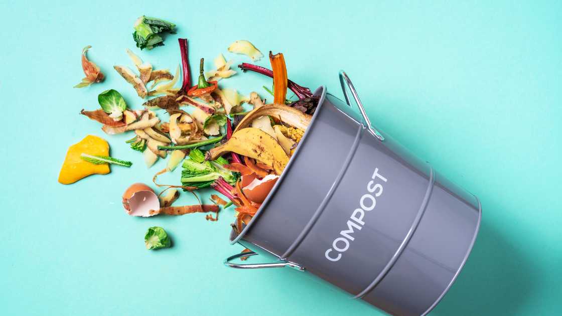 Best Compost Bins for Your Home and Garden