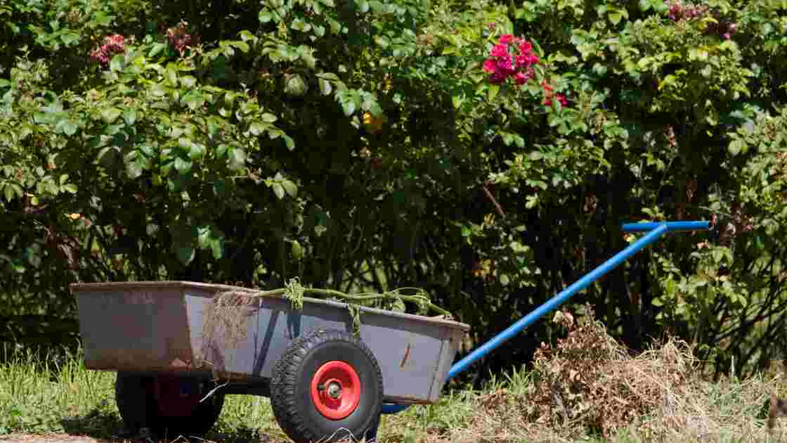 Best Garden Carts