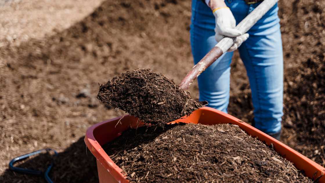 From Snow to Soil The Best Shovels to Tackle Any Terrain