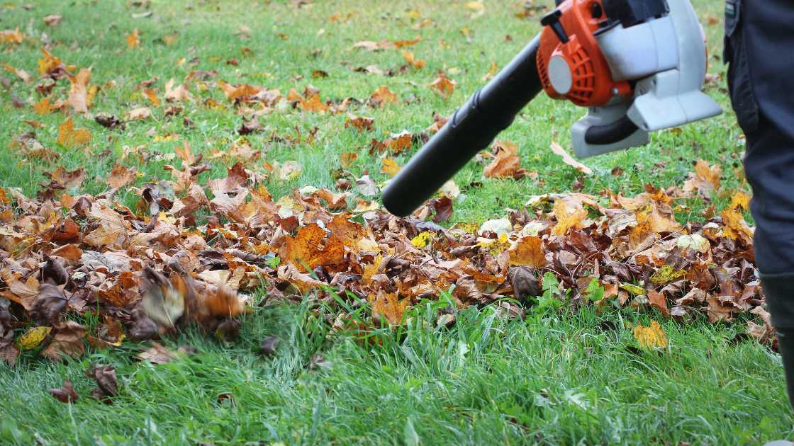 The Best 12 Leaf Blowers of 2024: Must-Have Tools for Every Gardener