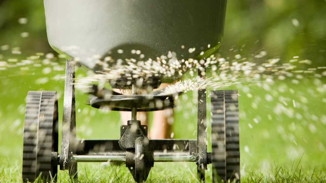 From Patchy to Plush: How Seed Spreaders Transform Your Yard