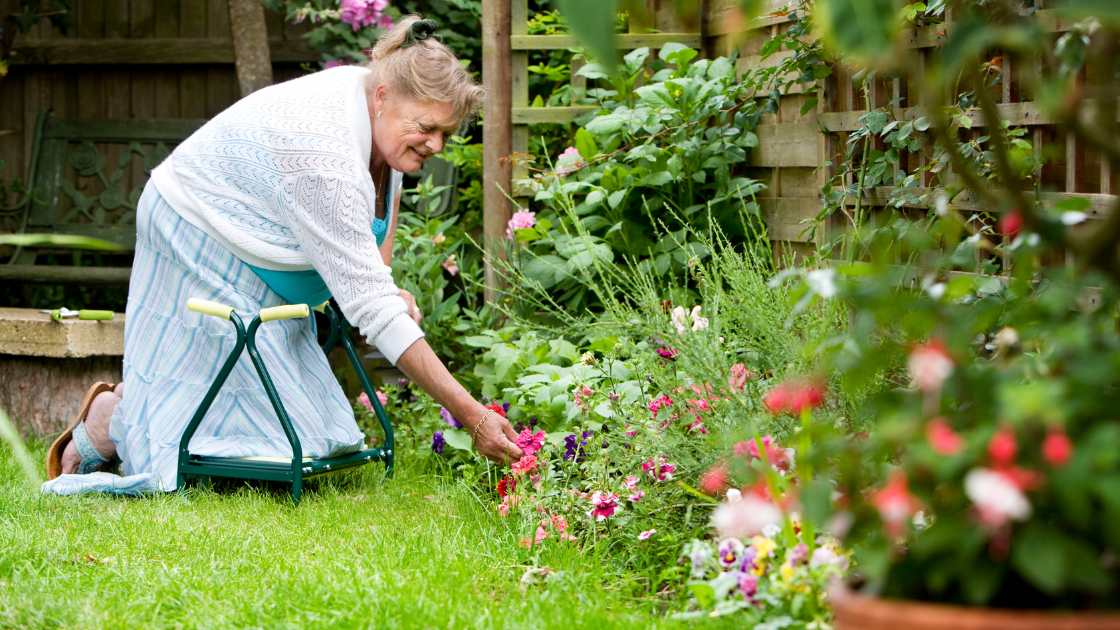 Garden Kneeler