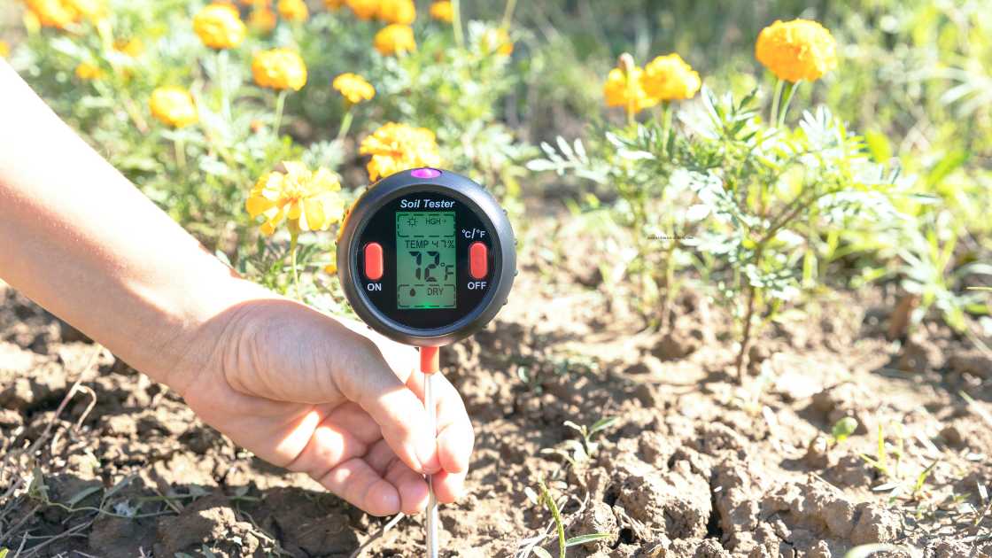 The Science of Soil: How Testing Can Revolutionize Your Gardening