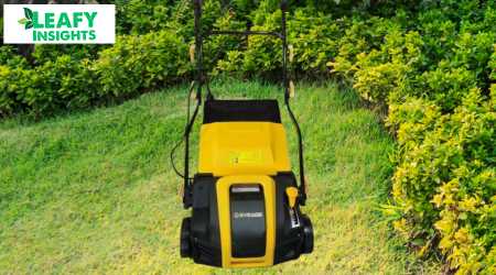EVEAGE 16-Inch 15-Amp Electric Dethatcher and Scarifier 5-Position Depth Adjustment Review