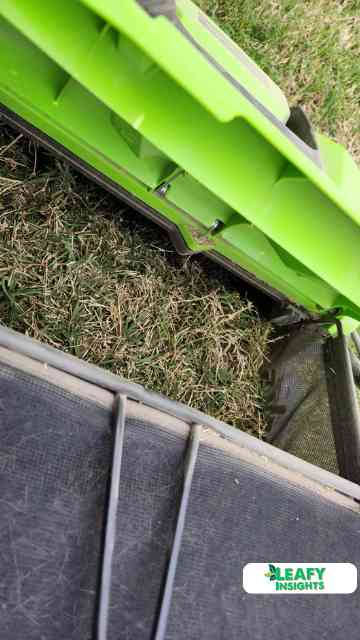 Greenworks 13 Amp 14-Inch Corded Dethatcher Review