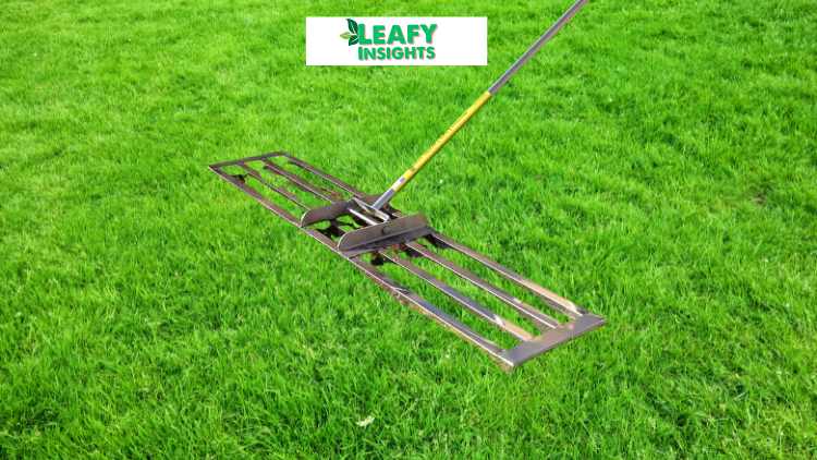 Rocklin™ Lawn Leveling Rake Review