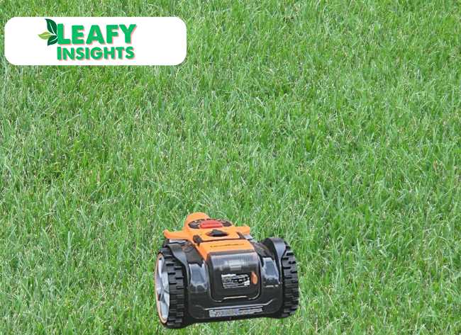 LawnMaster OcuMow™ Perimeter Wire Free Robot Lawn Mower Review