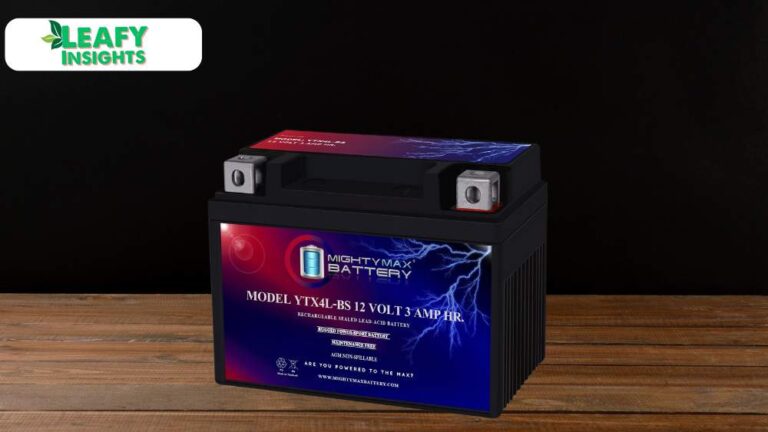 Mighty Max Battery YTX4L-BS Review