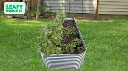 2 Pack Tall 8ft Galvanized Raised Garden Bed