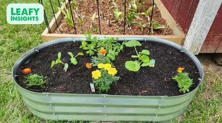 Galvanized Raised Garden Bed – 6x3x1ft
