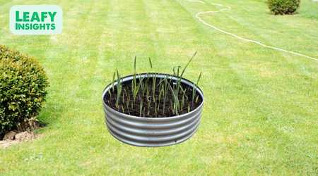 Galvanized Raised Garden Bed – 8x2x1ft