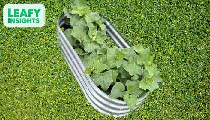 Galvanized Raised Garden Bed – 4x2x1ft