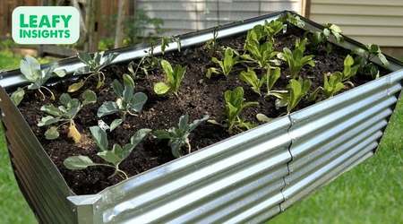Tall Galvanized Raised Garden Bed Kit