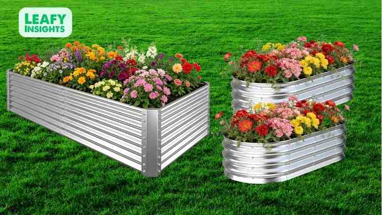 garden bed