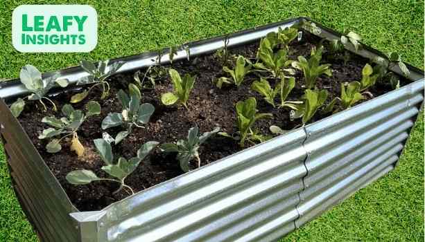 6x3x2ft Galvanized Raised Garden Bed Review: Is This Deep-Root Planter Box Worth It?